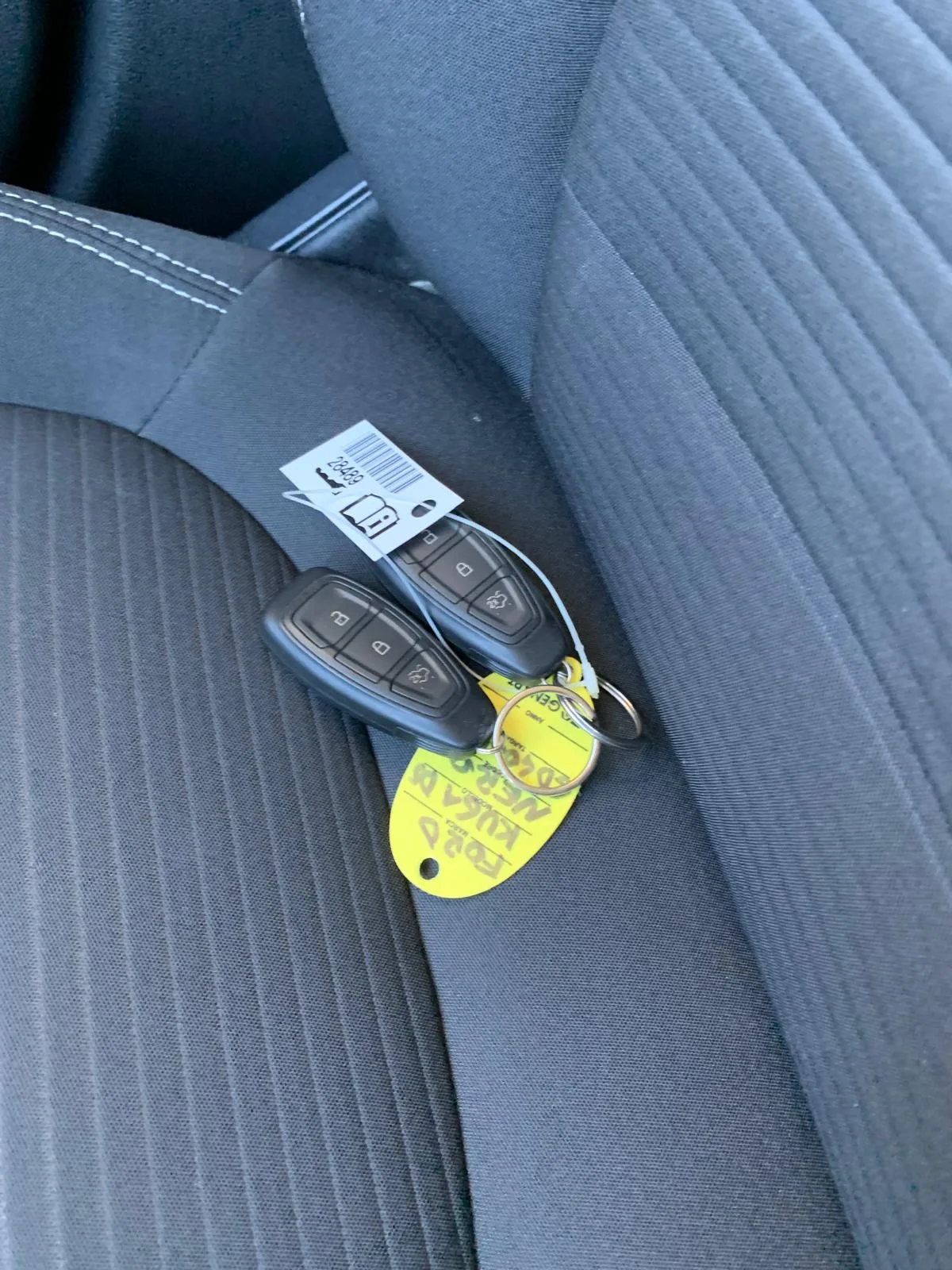 FORD KUGA 1.5 ECOBLUE 120CV 2WD TITANIUM — foto 17